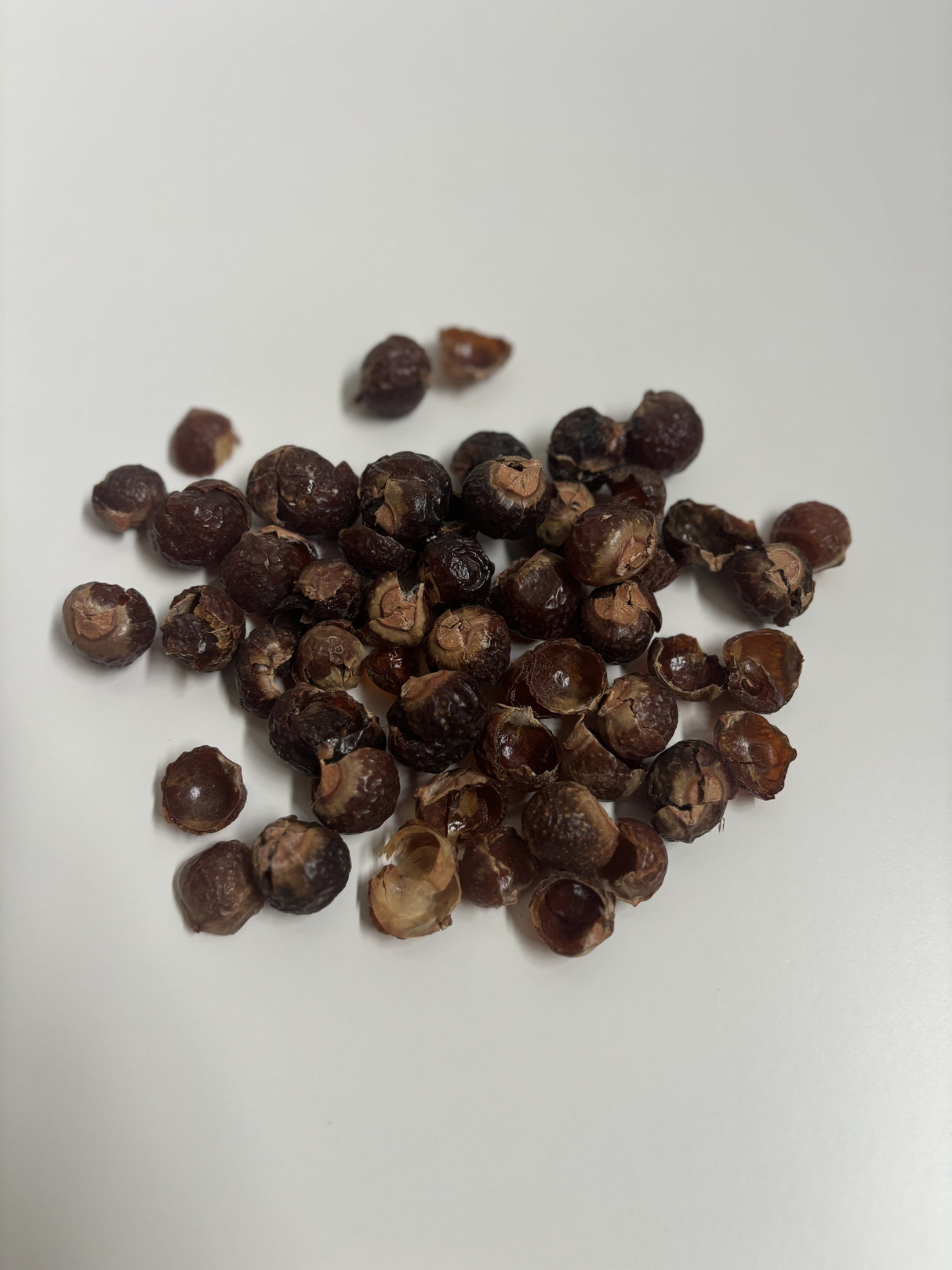 100% Natural Soap Nuts – Environmentally Friendly Alternative to Laundry Detergent – Also for Wholesale/B2B