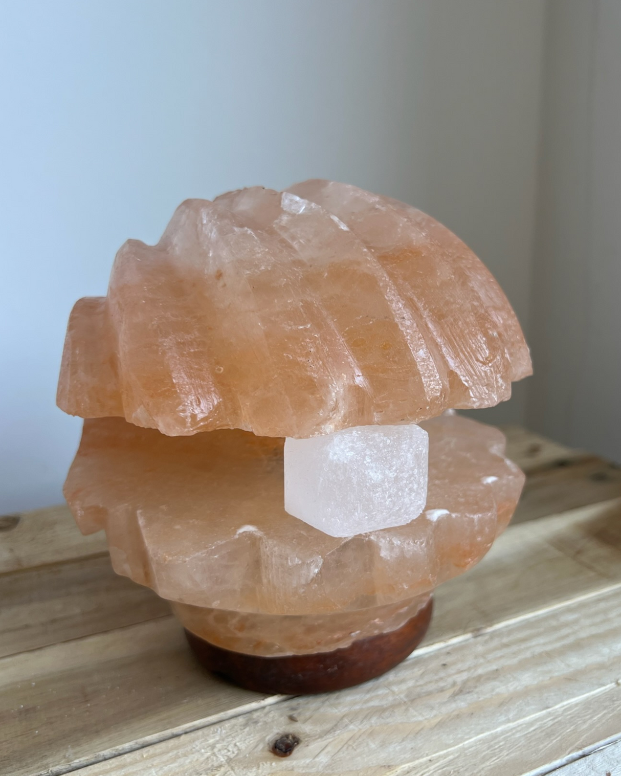 Himalaya Zoutlamp schelp met parel van 100% puur zout inclusief kabel en reservelampje