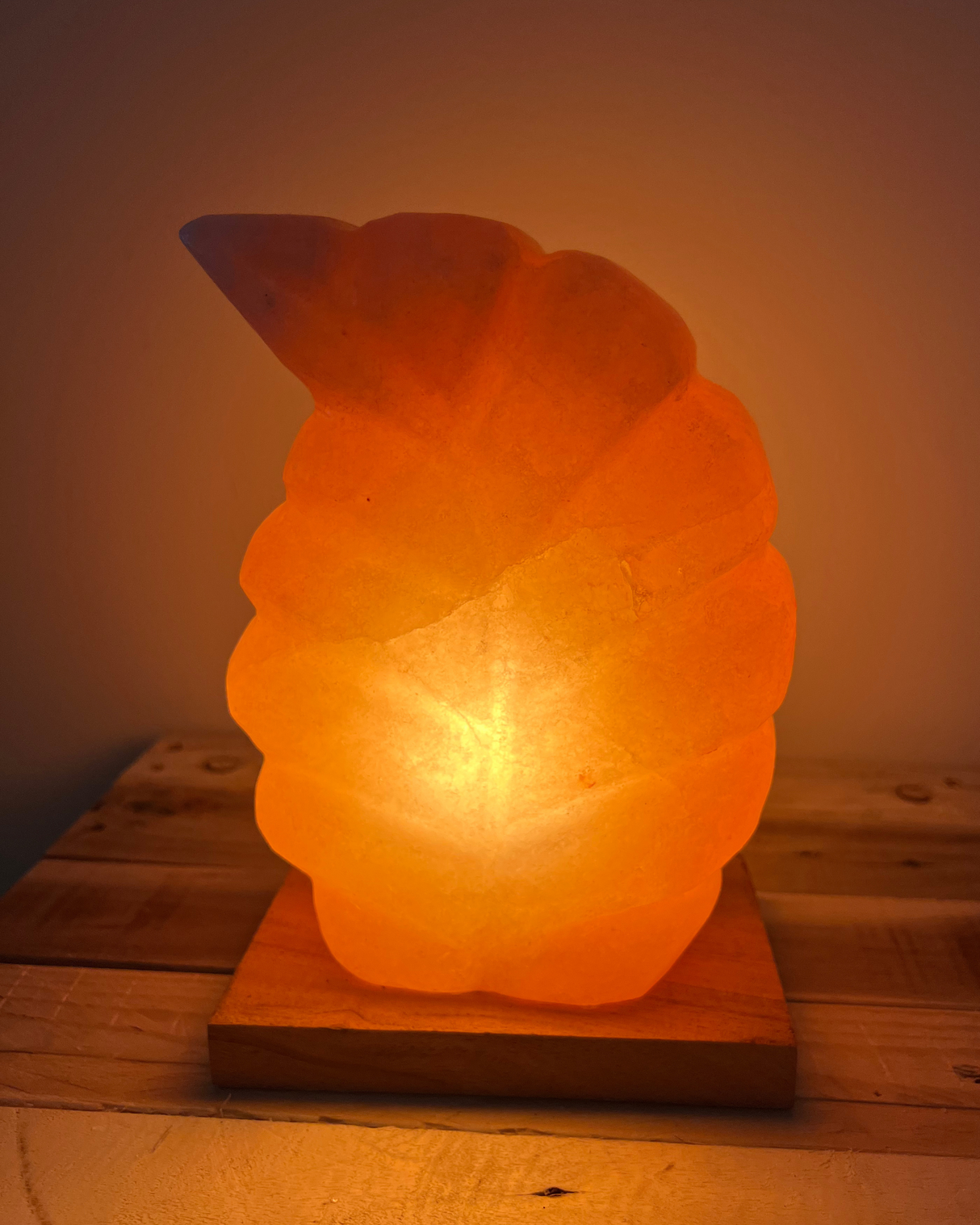 Himalaya zoutlamp in de vorm van een blad met warme gloed, houten voet en snoer met schakelaar