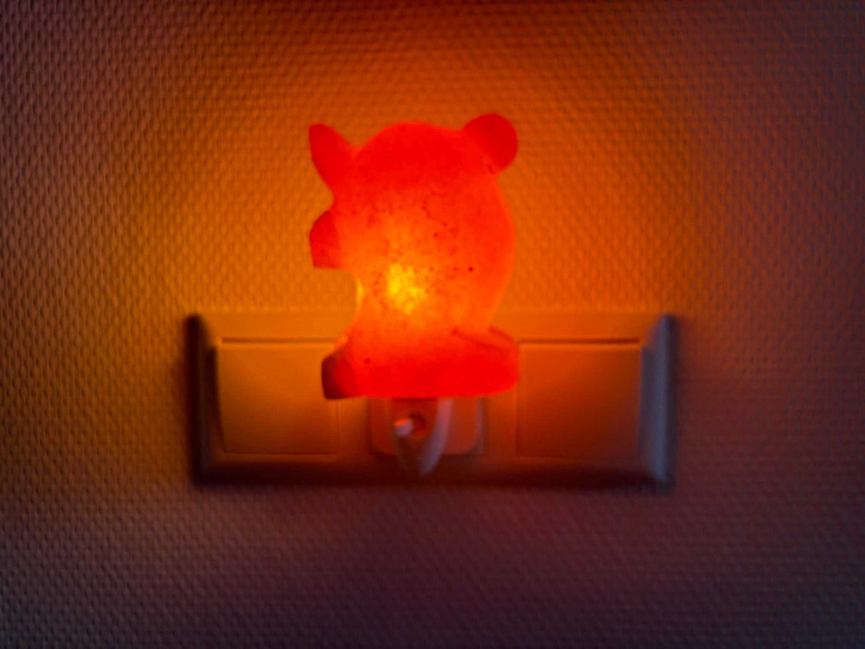 Himalaya zoutsteen nachtlampje in dolfijnvorm met warm rustgevend licht voor slaapkamer