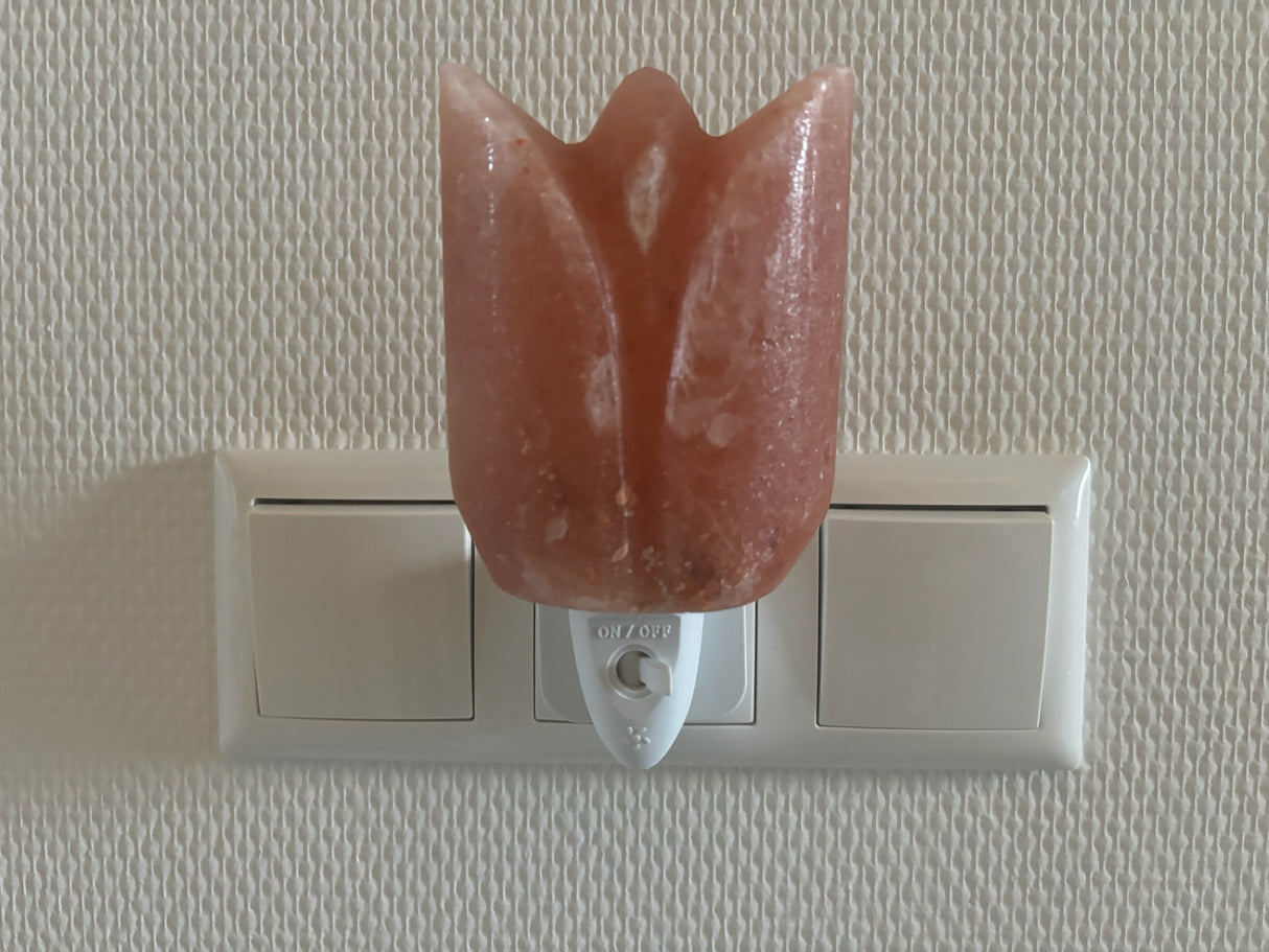 Compact Himalaya zoutlamp-nachtlampje met warm licht en pinfix stekker, ideaal voor een kalme, gezonde nachtrust.