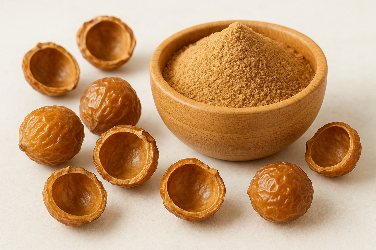 Biologisch gecertificeerd ultrafijn wasnotenpoeder 120 mesh van Sapindus Mukorossi met hoge saponineconcentratie voor natuurlijke reiniging.