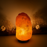 Zoutlamp 4-6kg met herfst achtergrond sfeer