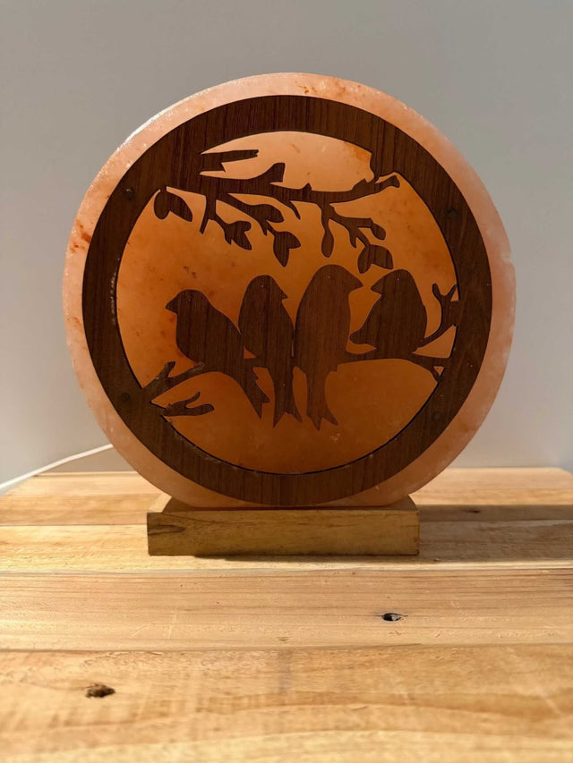 Handgemaakte Himalaya Zoutlamp in 3D vogelvorm met warm licht en houten voet