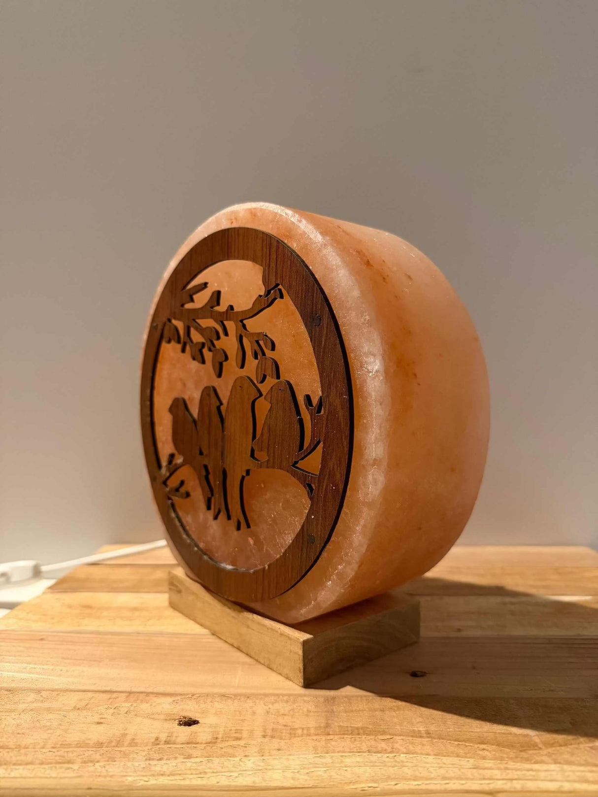 Handgemaakte Himalaya zoutlamp in 3D vogelvorm met warm licht en houten voet.