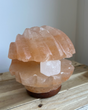 Schelp met Parel Himalaya zoutlamp, natuurlijke roze tint, 3.5 kg