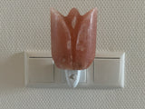 Compact Himalaya zoutlamp-nachtlampje met warm licht en pinfix stekker, ideaal voor een kalme, gezonde nachtrust.